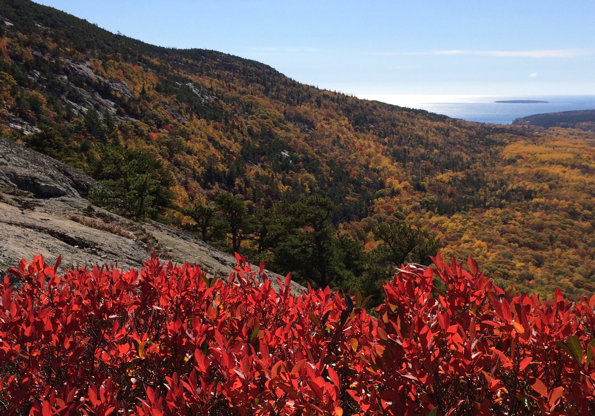 Scientists Want Your Photos To Study Fall Foliage In Acadia 